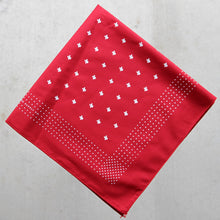 texas print bandana