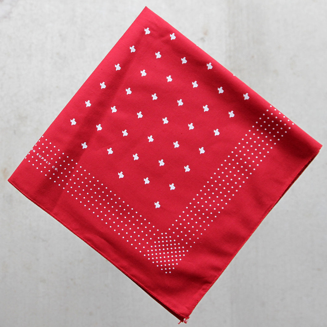 texas print bandana