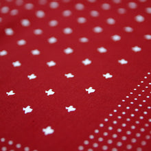texas print bandana