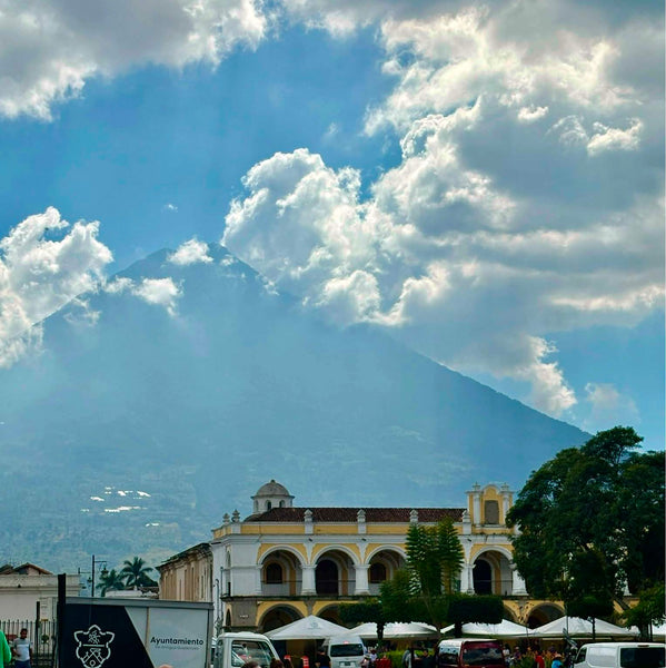 guatemalan woven clutch