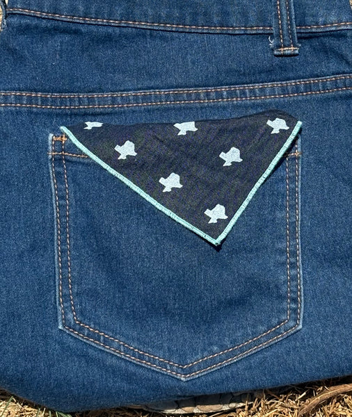 texas print bandana - chambray