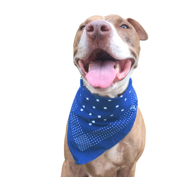 texas print bandana - cotton